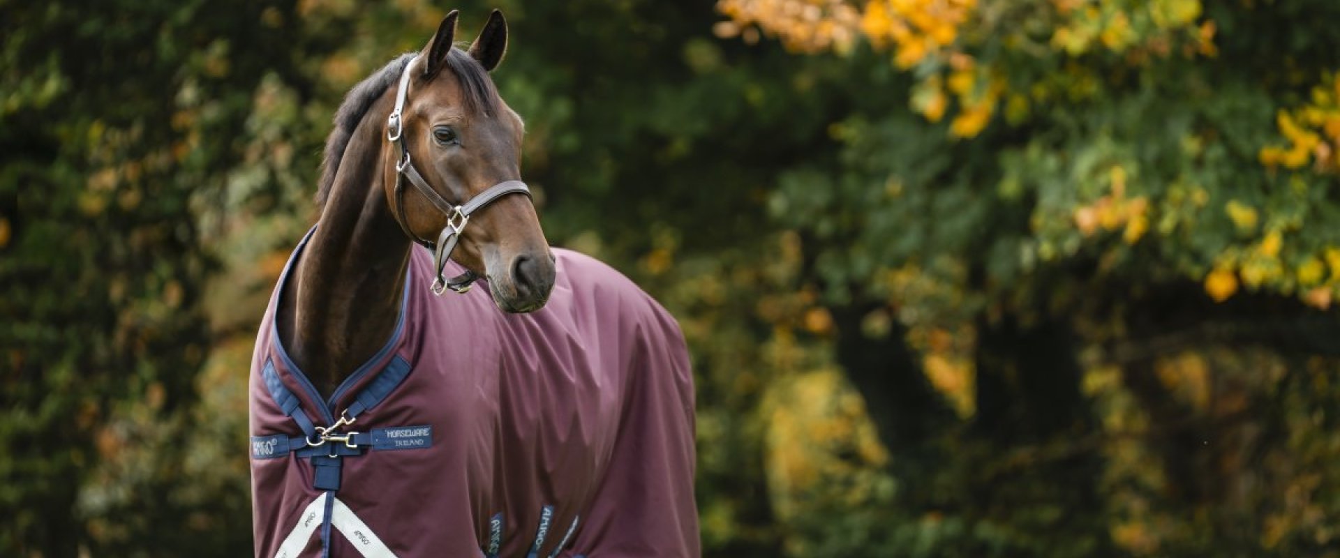 Horsewares nya färg-kombo