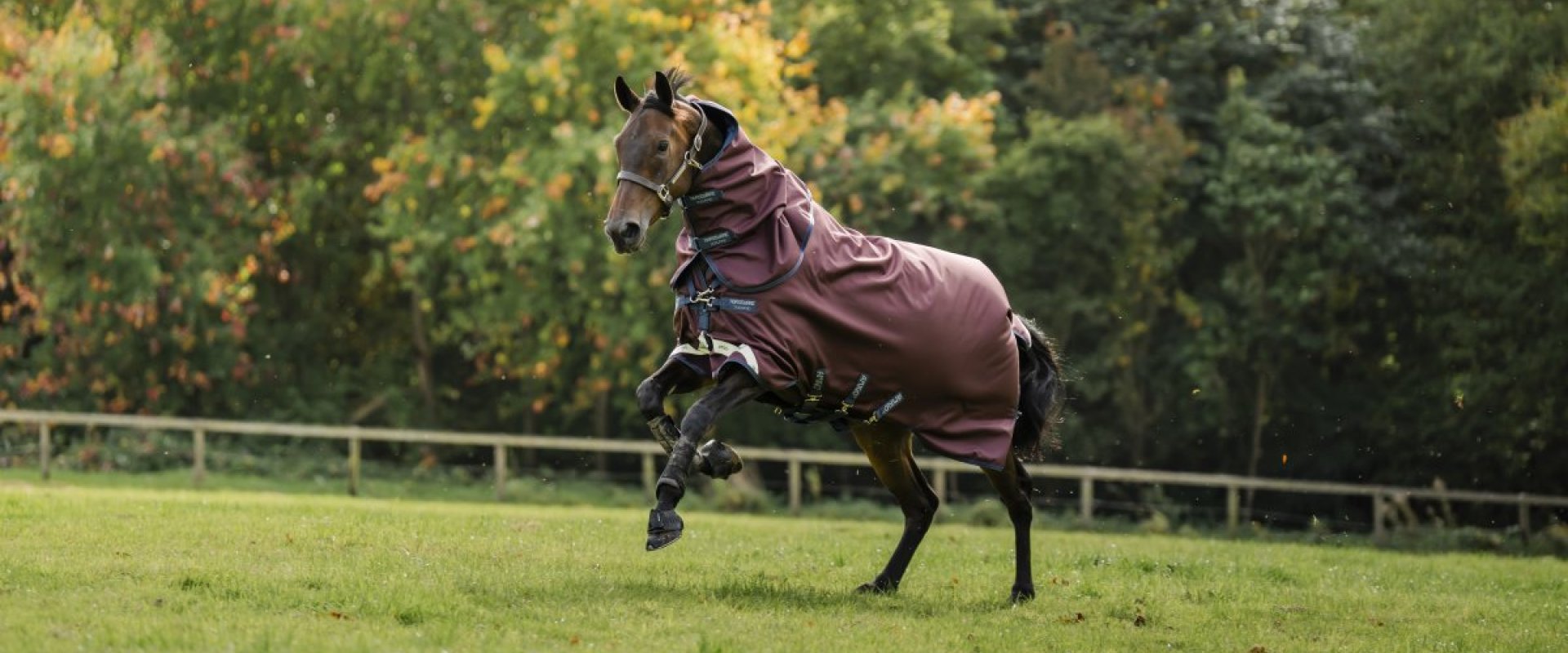 HORSEWARE TÄCKEN