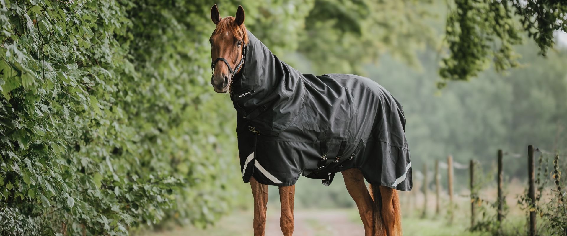 Spara 20% på allt från haglunds