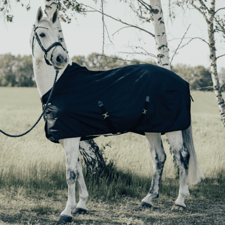 Sommartäcke för häst
