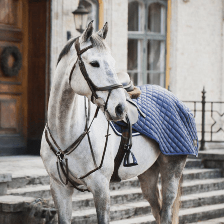 Ländtäcken och ridtäcken