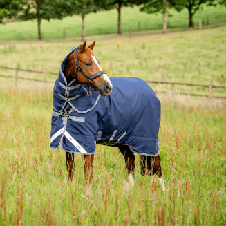 utetäcke horseware ofodrat