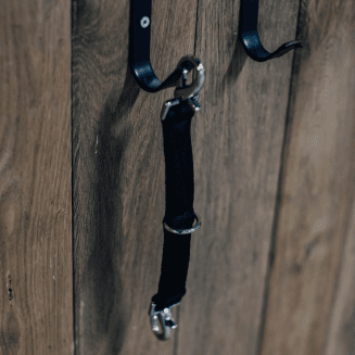 longeringsdelta-häst