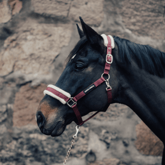 fluffgrimma-häst-haglunds