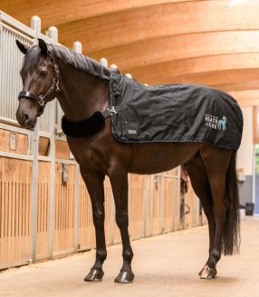 Värme och massagetäcke Health + Care Waldhausen