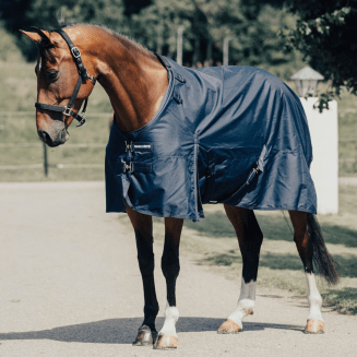 regntacke-0g-hast-haglunds