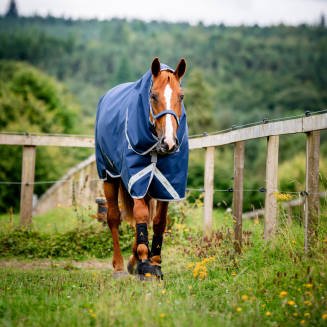 regntacke-hast-horseware-0g