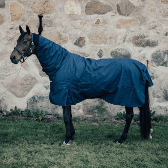 regntacke-hel-hals-0g-hast-haglunds