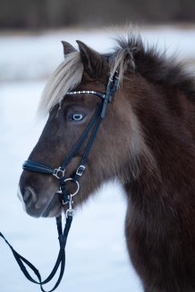 Tyglar Island Supergrip Med Stoppar Karbinhake Horse Guard