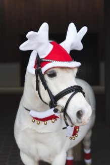Renluva till häst Jul HorseGuard