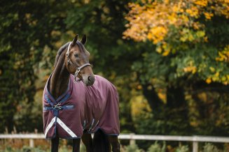 Regntäcke Amigo 1200D Plus 50g Turnout Horseware