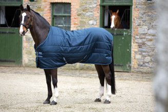 Stalltäcke Amigo Insulator Lite 100 g Horseware