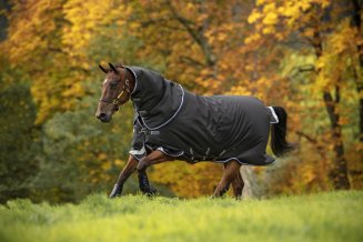 Vintertäcke Amigo Bravo 12 Plus Turnout Medium 250g Horseware