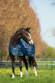 Liner 200 g Horseware