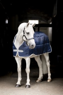 Liner Pony 300g Horseware