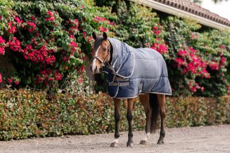 Stalltäcke Amigo Pony Insulator 200g Horseware