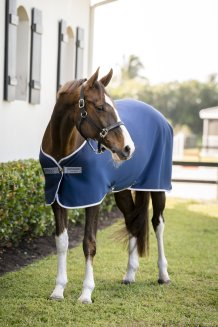 Coolertäcke Amigo Jersey Navy & Silver Horseware