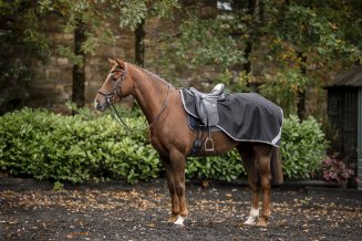 landtacke_hast_horseware_amigo