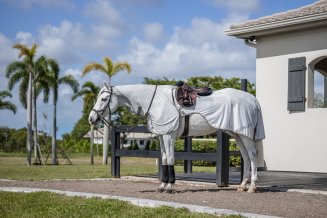Ridflugtäcke Fly Rider Amigo Horseware