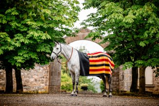 Filt Newmarket Fleece Horseware