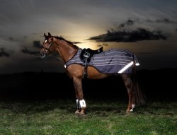 Skrittäcke Amigo Reflectech Competition Sheet Grey Horseware