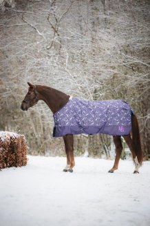 Övergångstäcke Josh 100g Horse Guard