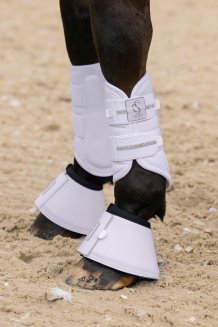 Benskydd Softshell Jewel Classic Sport SS26 Eskadron