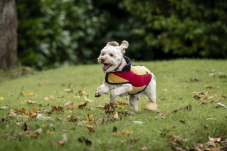 Hundtäcke Newmarket Fleece Horseware